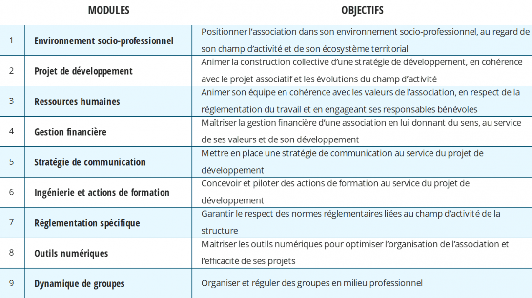 DESJEPS "Direction de structure et de projet" | Graine Emplois